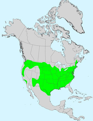 North America species range map for Coreopsis tinctoria: Click on image for full size map.